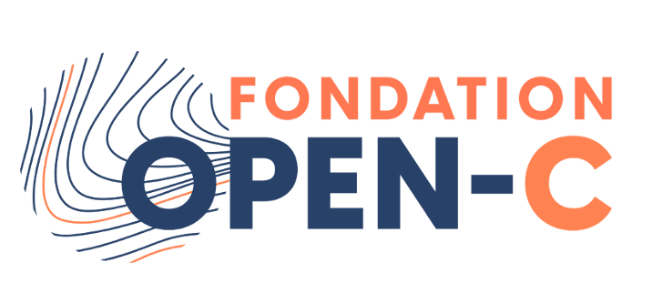 Capture d’écran logo Fondation