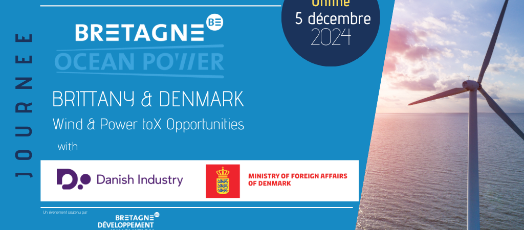 Webinair Bretagne Danemark