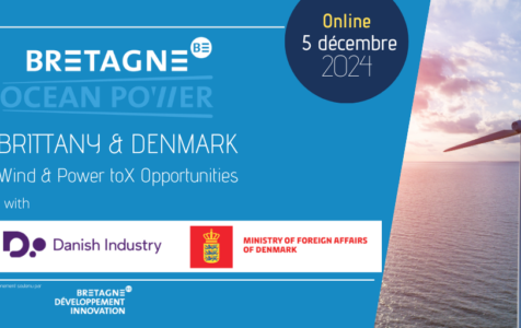 Webinair Bretagne Danemark