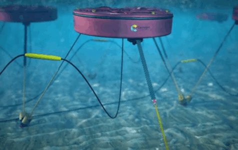 bretagne_ocean_power_Réseau d’énergie houlomotrice CETO (avec l’aimable autorisation de Carnegie Clean Energy)