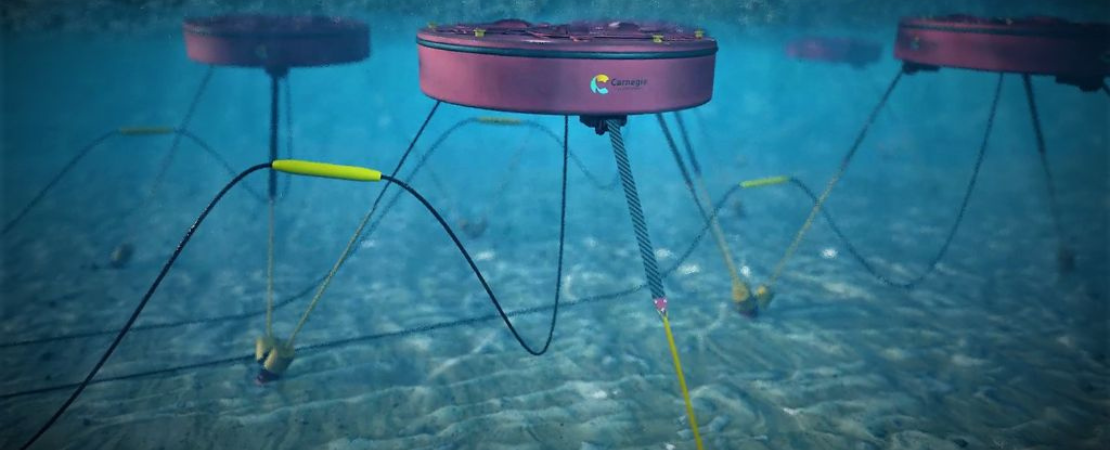 bretagne_ocean_power_Réseau d’énergie houlomotrice CETO (avec l’aimable autorisation de Carnegie Clean Energy)